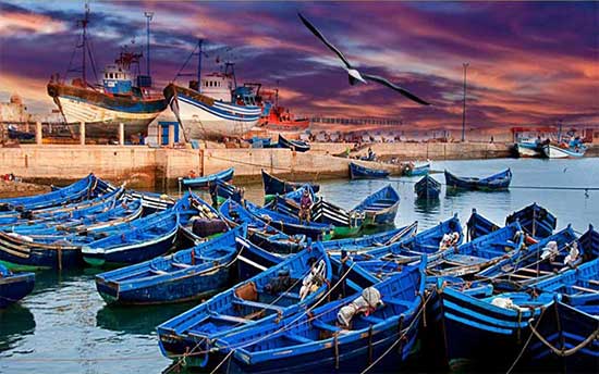 Marrakech Essaouira Day Trip